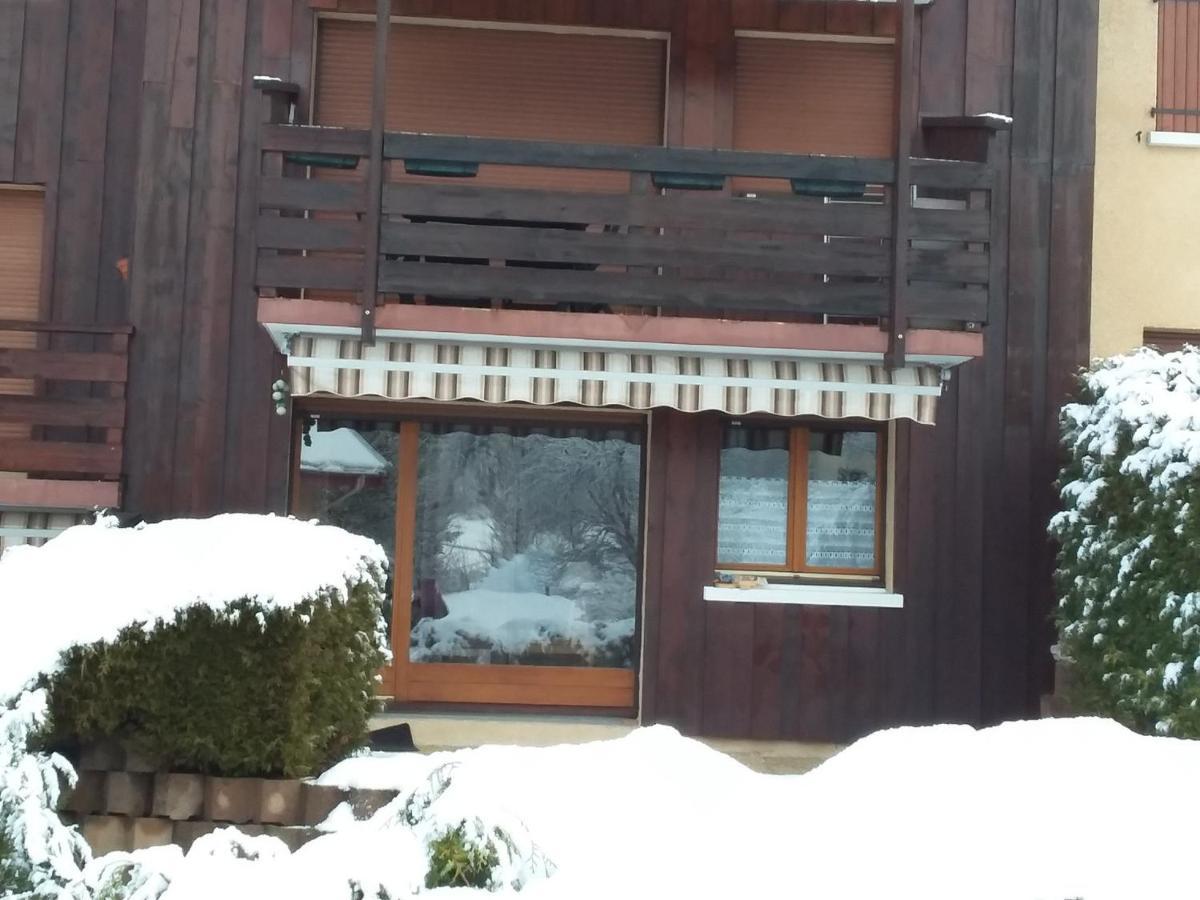 Charmant Duplex De 45M², 2 Chambres, Jardin, Garage, Villard-De-Lans - Fr-1-515-51 Eksteriør billede