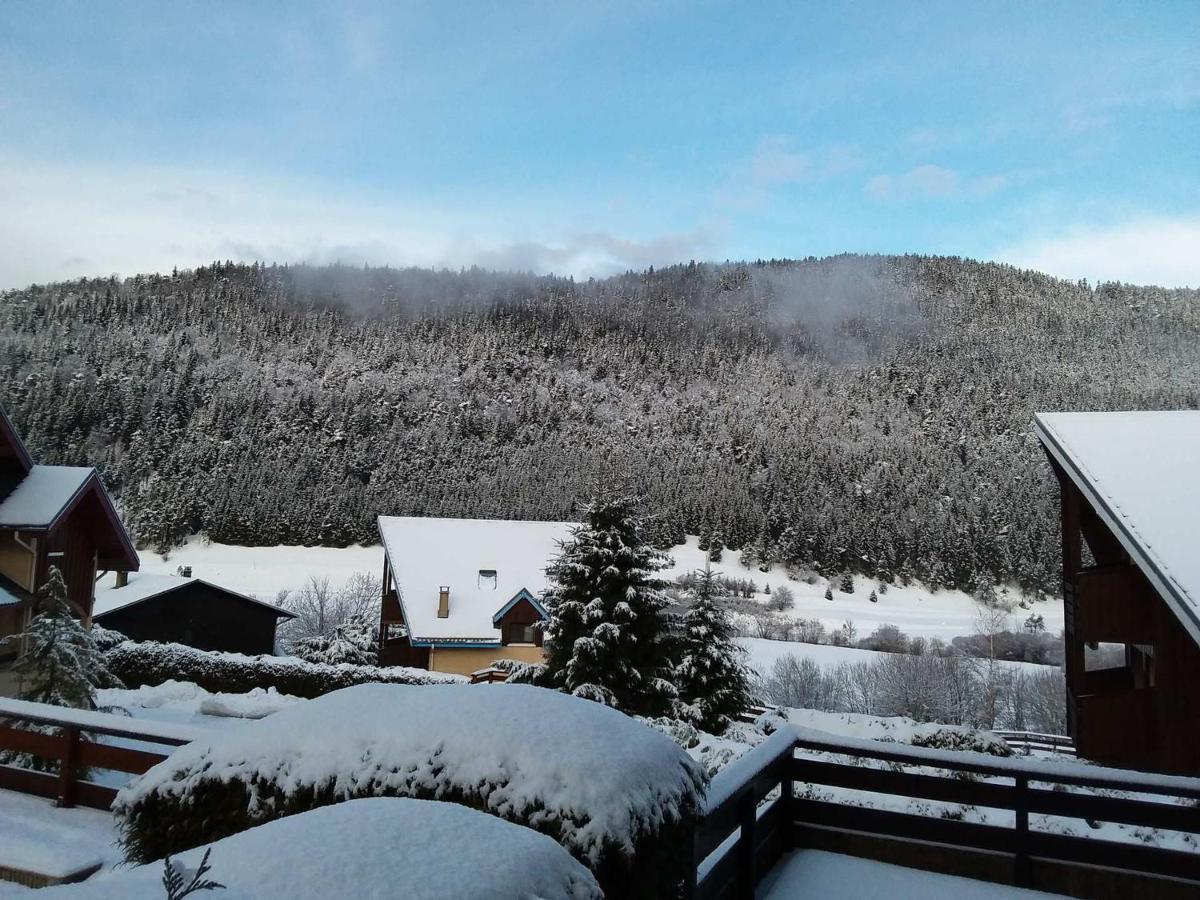 Charmant Duplex De 45M², 2 Chambres, Jardin, Garage, Villard-De-Lans - Fr-1-515-51 Eksteriør billede